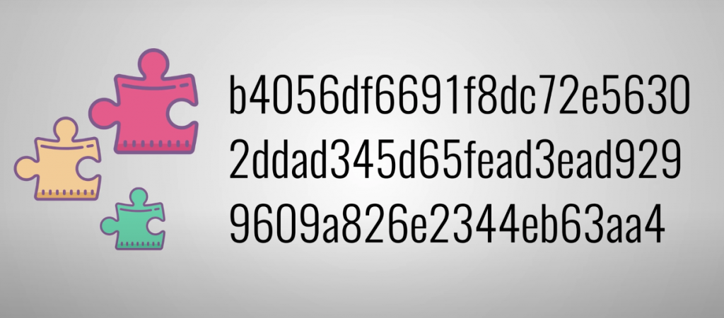 image3-2-1024x450.png